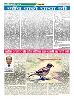 Page-36