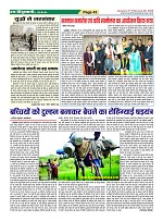Page43